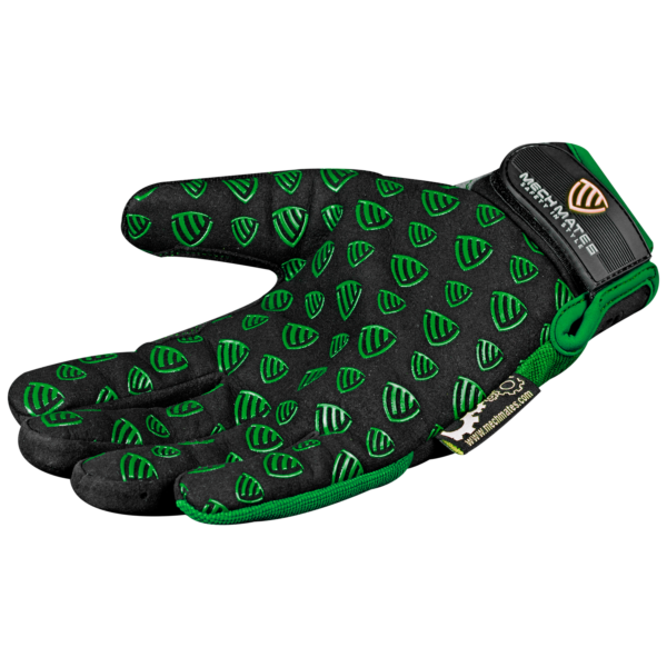 Edge Glazier Pro Cut@6 Green Back